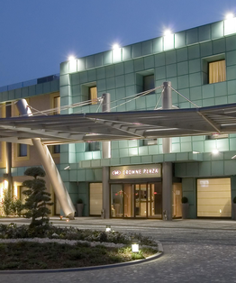 Crowne plaza somma lombardo  va  2937718958 2x1